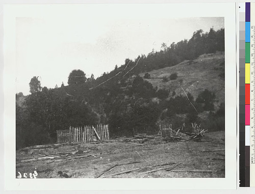 Grave at Redwood Creek