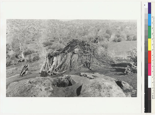 Indian brush house