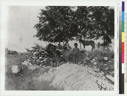 Near view of the surroundings of a typical Miwok mortar stone