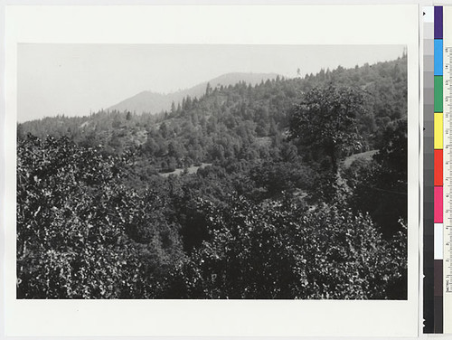 Mt. Offield, viewed from Karuk village of Katimin