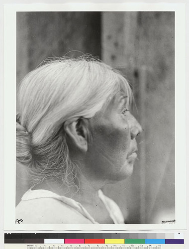 Sally Lewis, profile