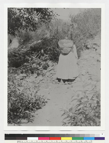Indian woman gathering stones