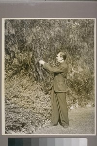 [Walter Elias Disney.]