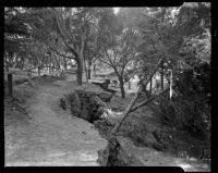 Crack that led to a landslide in Elysian Park, Los Angeles, November 1937