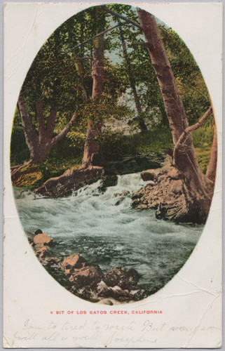 A Bit of Los Gatos Creek, California, 1906