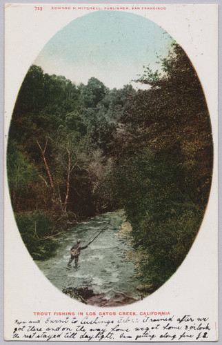 Trout Fishing in Los Gatos Creek, California, 1906