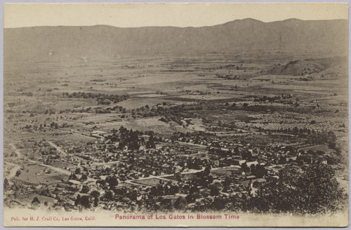 Panorama of Los Gatos in Blossom Time [ca. 1900]