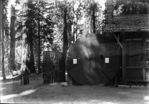 Exhibits, Giant Sequoia Sections, Old museum near Round Meadow