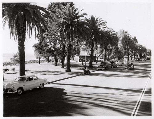 Automobiles parked on Ocean Avenue by Palisades Park, Santa Monica, Calif
