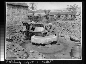 Miller grinding wheat, China, ca.1920-1930