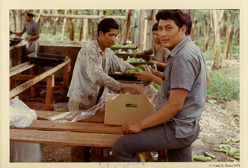 Banana Import Company, Pierce Photo 21, ©1971 Frank D. Pierce