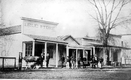 Main Street Porterville 1885