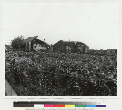 Adobe House, corner of Colma Road and San Mateo Road