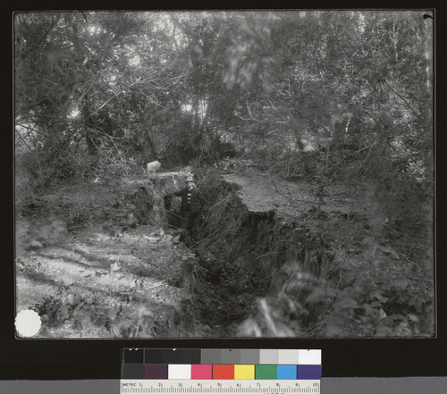 [Man standing in fault crevice.]