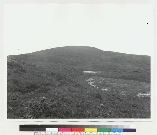 Topography and fault track south of Mussel Rock