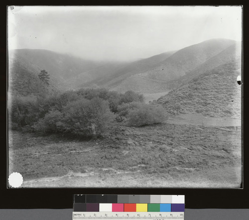 Central portion of earthflow near Half Moon Bay, panoramic of no.133 showing earth spread over meadow & water streams that have formed. Looking north