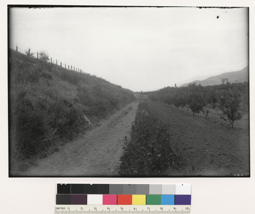 Looking west along upper side of gravel ridge on mesa, east of Highland, base of San Bernardino Range, line of the rift