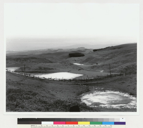 [Ponds among hills, probably along fault line in San Mateo County.]