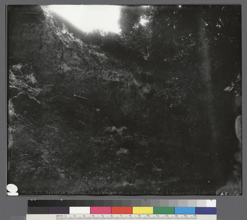 Exposure of Slicken-sided fault plane near north end of Crystal Springs Lake