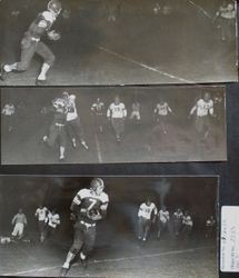 Analy High School Tigers football team of fall 1950--practice game between Analy Tigers and Petaluma