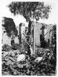 Ruins of Ramon Yorba's olive mill and the presidio at the Mission San Juan Capsistrano, 1899