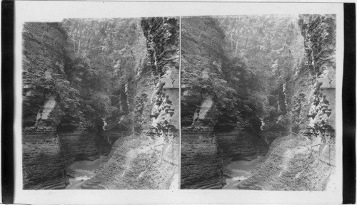 Minehaha Falls, Sentry Bridge and Still Water Gorge - Watkins Glen. N.Y