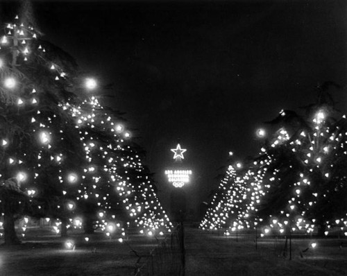 Christmas lights at Coliseum