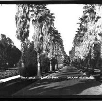 Palm Drive in McKinley Park