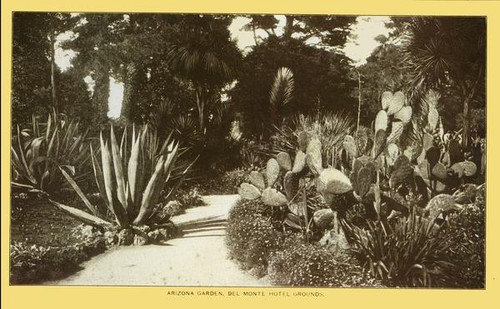Arizona Garden, Del Monte Hotel grounds