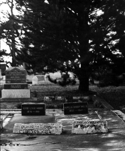 Cemetery, Sebastopol, California
