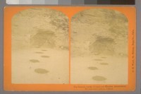 Pre-historic tracks of supposed Elephas Americanus; Nevada State Prison, Carson