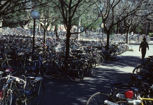 Bikes parked, east side Shields Library