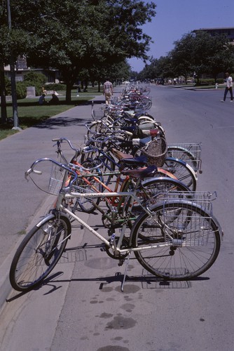 Bicycles in front of Haring Hall