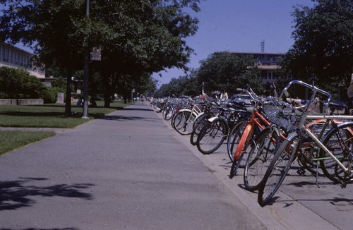 Bicycles in front of Haring Hall