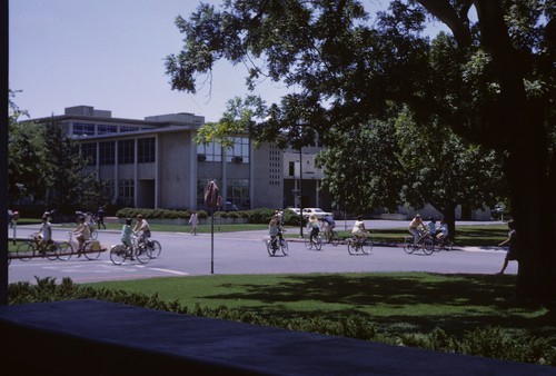 Bike traffic, California & North Quad