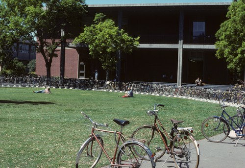 Bikes parked, west of Wellman