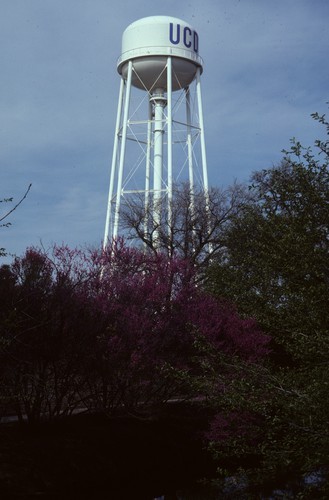 Watertower & Redbud, Arboretum