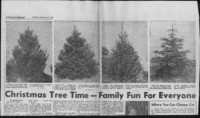 Christmas tree time - family fun for everyone