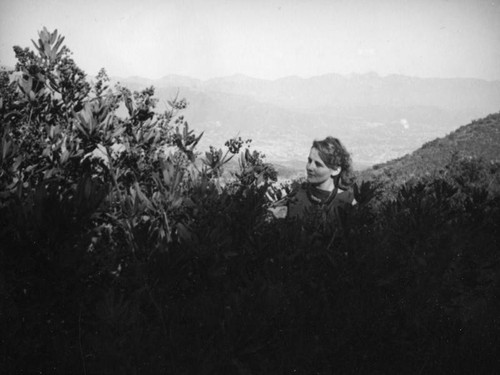 Ethel on a Hollywoodland hike