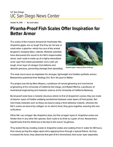 Piranha-Proof Fish Scales Offer Inspiration for Better Armor