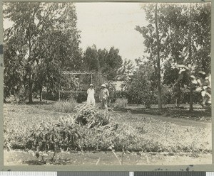 Dr and Mrs Irvine in the garden, Chogoria, Kenya, 1926