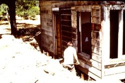 Volunteer digging out the foundation at the Luther Burbank Gold Ridge Experiment Farm Cottage at the beginning of restoration, 1983