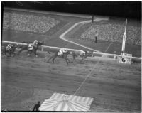 Horses race on Derby Day at Santa Anita, February 22, 1937