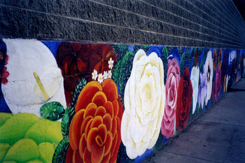 Wall of flowers, a mural