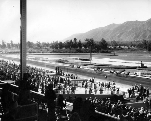 Crowds at Santa Anita Racetrack