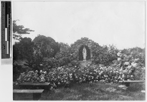 Shrine behind St. Ann's Convent, Heeia, Hawaii, July 26, 1936