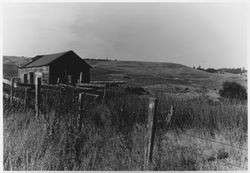 Unidentified derelict barn and grasslands, Sonoma County, California