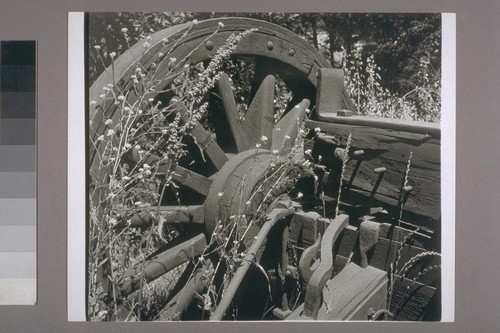 Wheel [water-wheel]. Near Angels Camp. 1957