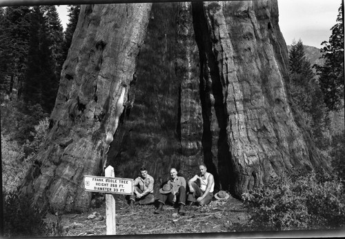 Frank Boole Tree, Col. White, center, F. Oberhansley, right, Jim Tobin, left. NPS Groups, Signs