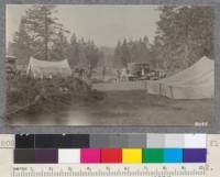 Auto Camp in a typical lodgepole pine flat. Feather River Meadows, Lassen National Forest. July 1922